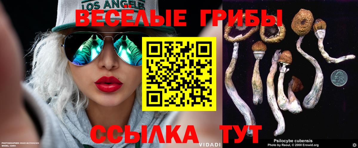 Галлюциногенные грибы ЛСД  Галлюциногенные грибы GOLDEN TEACHER  Барнаул  Вход с VPN 