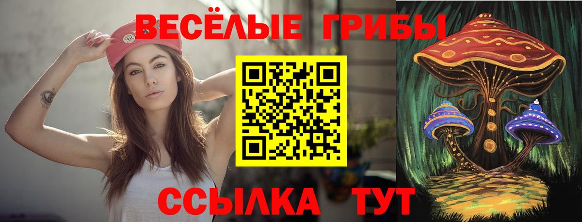 Галлюциногенные грибы прущие грибы Барнаул